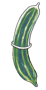 [plaatje met komkommer
met vreemde vershoudfolie eromheen]